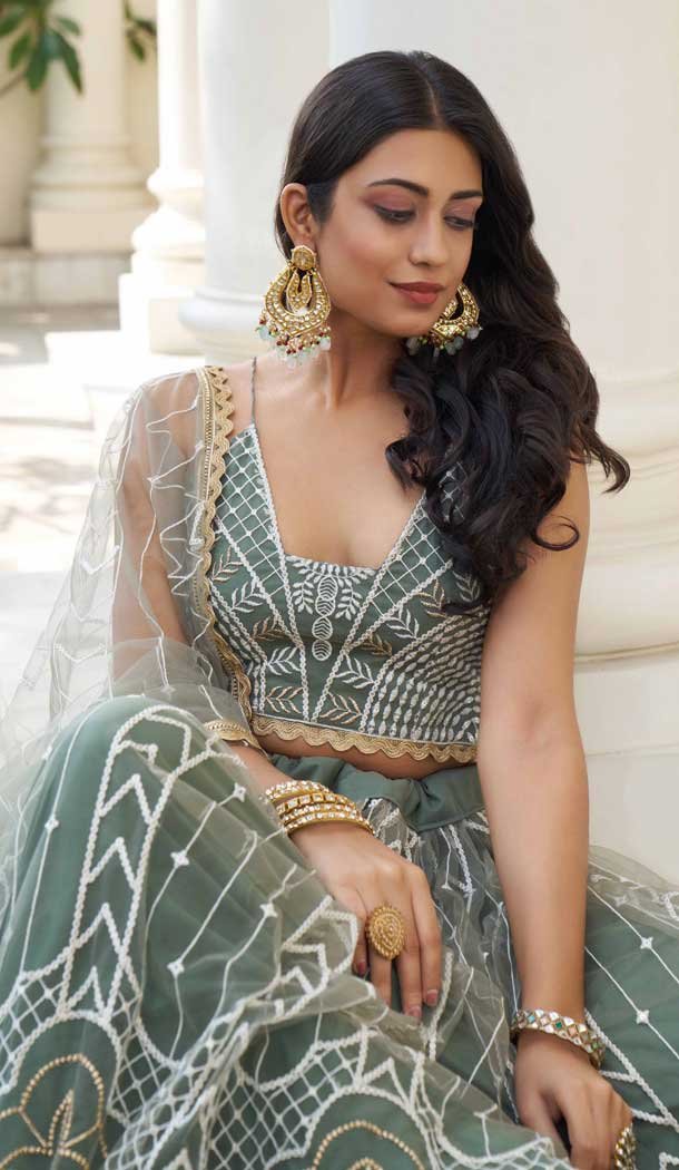 Dusty Green Butterfly Net Embroidery Work Lehenga Choli - 9536187911