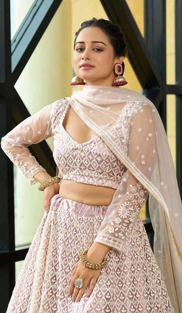 Beige Net Embroidered Party Wear Lehenga Choli - 10358193596