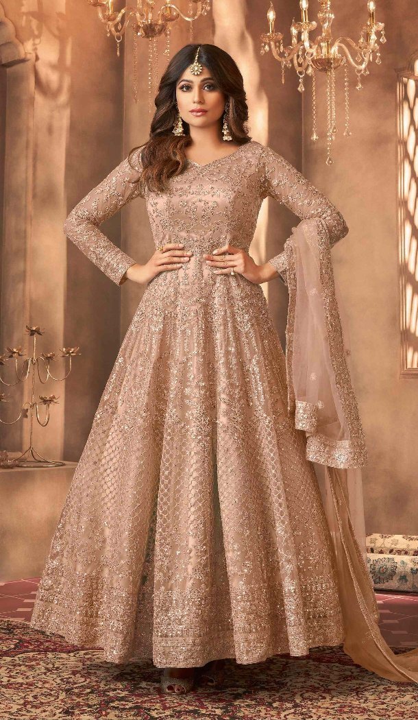 Beige Net Anarkali Suit with Embroidery Detail - 15042220626