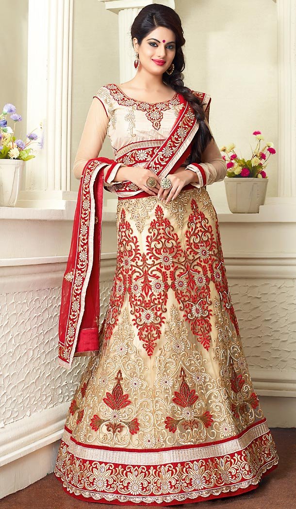 Beige Color Net A Line Lehenga Bridal Lehenga Choli | FH455871324
