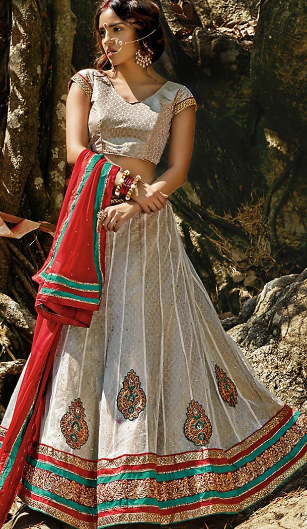 Dove Color Net A Line Style Stitched Lehenga Choli | FH463072225