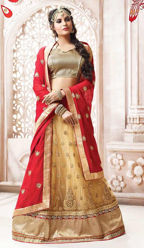 Beige Color Net Circular Style Designer Lehenga Choli | FH468072825