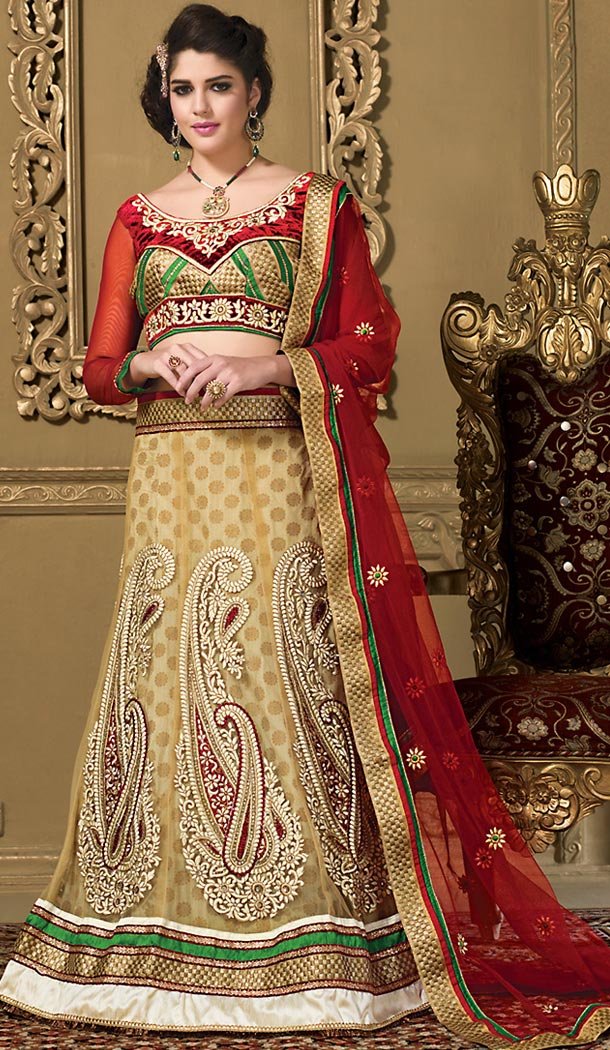 Tan Brown Color Net A Line Style Designer Lehenga Choli | FH479173984