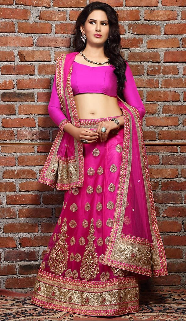 Deep Pink Color Net A Line Style Treditional Wear Lehenga Choli | FH497276206