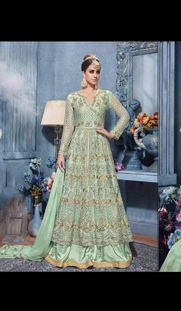Aloe Vera Green Color Net Embroidery Pakistani Style Designer Salwar Kameez | FH567484321