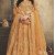 Designer Lehenga Choli