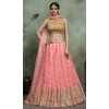 designer heavy embroidered lehenga choli