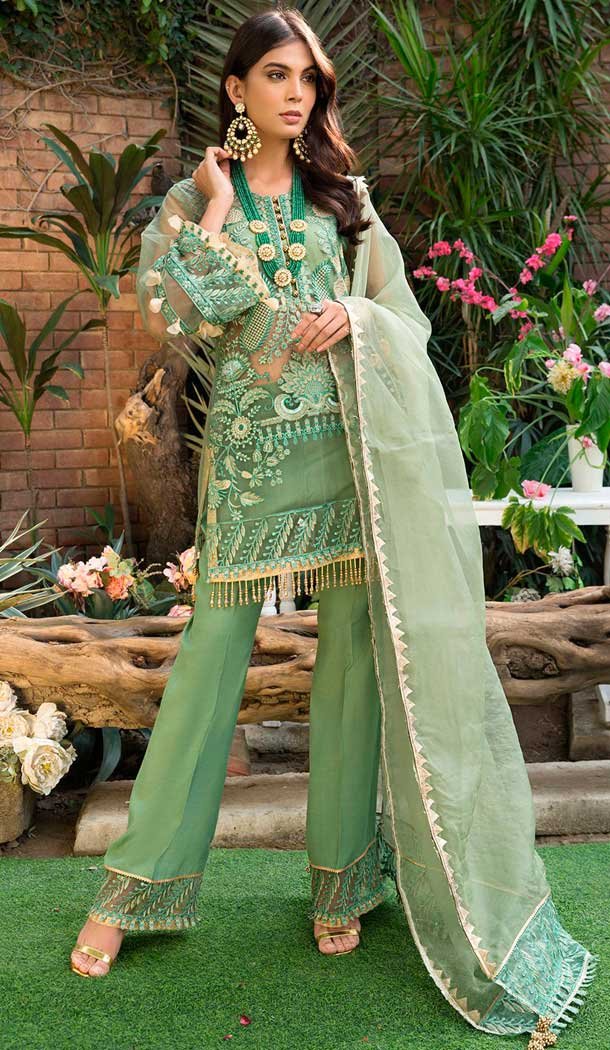 Green Color Butter Fly Net Embroidery Pakistani Salwar Kameez -799697607