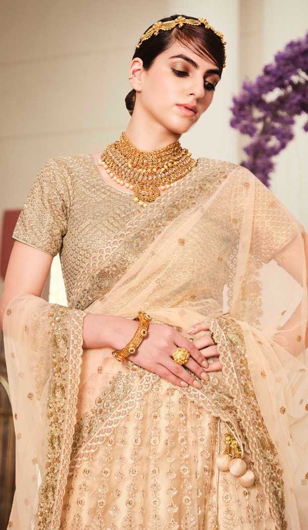 Beige Color Net Heavy Embroidered Work Wedding Lehenga Choli -1859133945