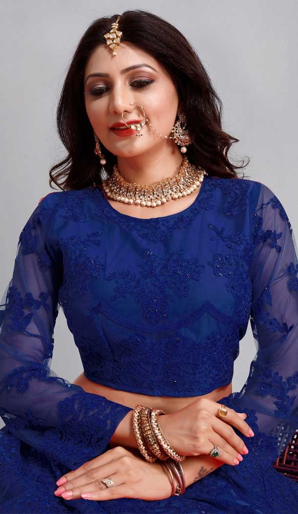 Blue Color Embroidery Work Net Traditional Party Wear Lehenga Choli-4518155162