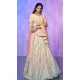 Off White Organza With Embroidery Work Designer Wedding Wear Lehenga Choli - 8286181601