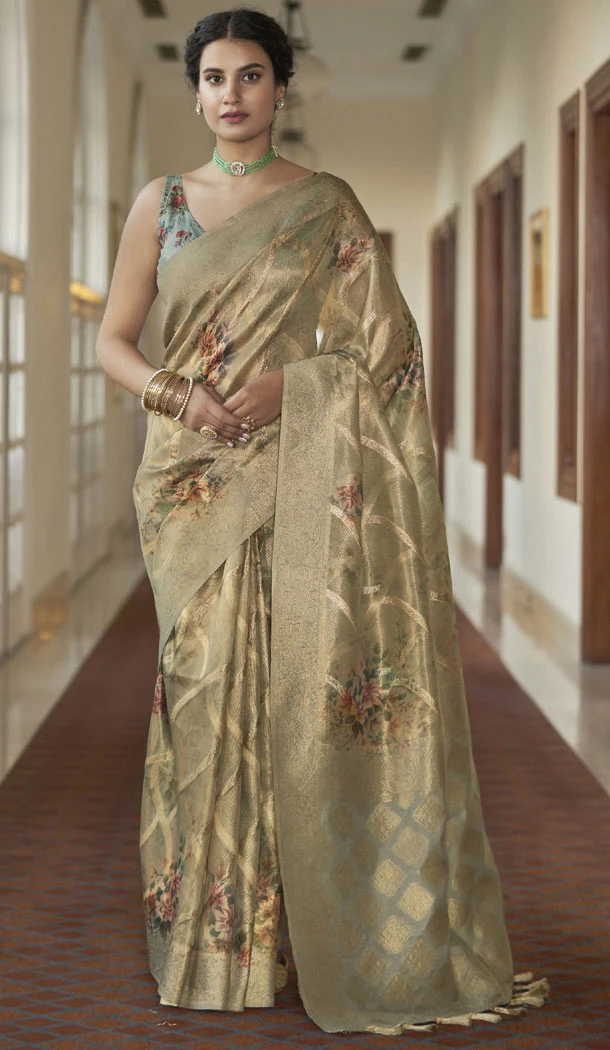 Light Brown Organza Tissue Silk Digital Print Work Saree - 8384182107