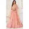 Butterfly Net Embroidery Work Plus Size Lehenga Choli In Peach - 8489182753