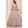 Net Sequence Work Plus Size Bridal Wear Lehenga Choli in Cream Peach -8824184342