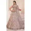 Net Sequence Work Plus Size Bridal Wear Lehenga Choli in Cream Peach -8824184342