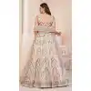 Net Sequence Work Plus Size Bridal Wear Lehenga Choli in Cream -8824184344