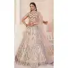 Net Sequence Work Plus Size Bridal Wear Lehenga Choli in Cream -8824184344