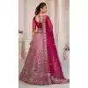 Net Sequence Work Plus Size Bridal Wear Lehenga Choli in Red -8824184348