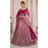 Net Sequence Work Plus Size Bridal Wear Lehenga Choli in Red -8824184348