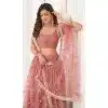 Butterfly Net Sequence Embroidery Work Plus Size Designer Lehenga in Pink -8887184657