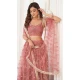 Butterfly Net Sequence Embroidery Work Designer Lehenga in Pink -8887184657