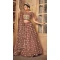 Brown Color Soft Net Mirror Work Heavy Lehenga Choli -8910184769