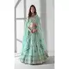 Sky Blue Organza Embroidery Work Plus Size Designer Lehenga Choli - 142677686