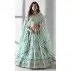 Sky Blue Organza Embroidery Work Designer Wear Plus Size Lehenga Choli  - 9498187614