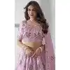 Baby Pink Organza Embroidery Work Designer Wear Plus Size Lehenga Choli  - 9498187616