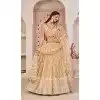 Butterfly Net Embroidered Party Wear Plus Size Lehenga Choli In Beige - 9535187903