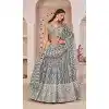 Butterfly Net Embroidered Party Wear Plus Size Lehenga Choli In Grey - 9535187904