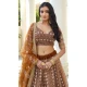 Brown Butterfly Net Embroidery Work Lehenga Choli - 9536187907