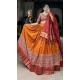 Mustard Tussar Silk Foil Printed Work Navratri Wear Chaniya Choli - 9667188690