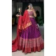 Rani Pink Tussar Silk Foil Printed Work Navratri Wear Chaniya Choli - 9667188691