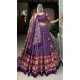 Purple Tussar Silk Foil Printed Work Navratri Wear Chaniya Choli - 9667188693