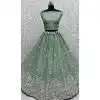 Pista Green Chinon Embroidered Designer Wedding Plus Size Lehenga Choli - 147961917