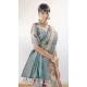 Sky Blue Color Organza Silk Digital Print Work Party Wear Saree - 9853189996