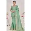 Mint Green Banarasi Silk Zari Work Traditional Wear Plus Size Saree - 9924191289