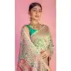 Plus Size Kashmiri Pashmina Resham Work Traditional Wear Saree In Light Green - 9975191563