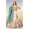 Cream Poly Georgette Embroidered Designer Wear Plus Size Lehenga Choli - 10083192265