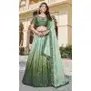 Mehendi Green Soft Organza Sequins Work Designer Wear Plus Size Lehenga Choli - 10109192399