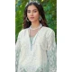 Multi Color Organza Embroidered Pakistani Style Salwar Kameez - 10094192332