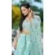 Pista Green Net Embroidered Party Wear Lehenga Choli - 10358193595