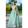 Pista Green Net Embroidered Plus Size Party Wear Lehenga Choli - 10358193595
