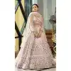 Beige Net Embroidered Plus Size Party Wear Lehenga Choli - 10358193596