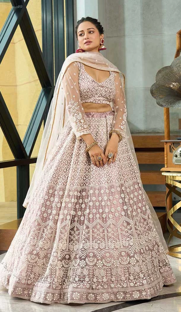 Beige Net Embroidered Party Wear Lehenga Choli - 10358193596