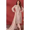 Beige Organza Embroidered Pakistani Style Plus Size Salwar Kameez - 10412193847