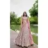 Organza Embroidered Designer Wear Plus Size Lehenga Choli In Rose Gold - 10451194037