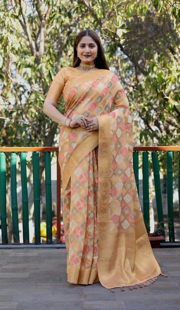 Beige Organza Silk Zari Work Party Wear Saree - 10489194199
