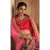 Pink Gaji Silk Sequins Work Traditional Plus Size Lehenga Choli - 10528194481